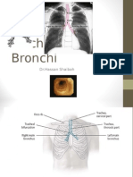 Trachea and Bronchi