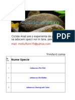 ciclide