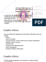 VIH (Western Blot)