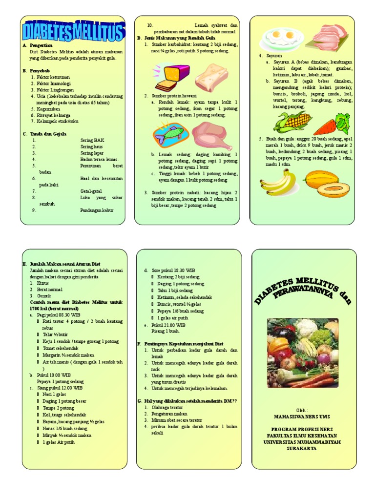 Leaflet Diet DM