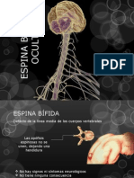 Espina Bifida y Mielomeningocele