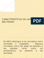  Caracteristicas de Las Bacterias