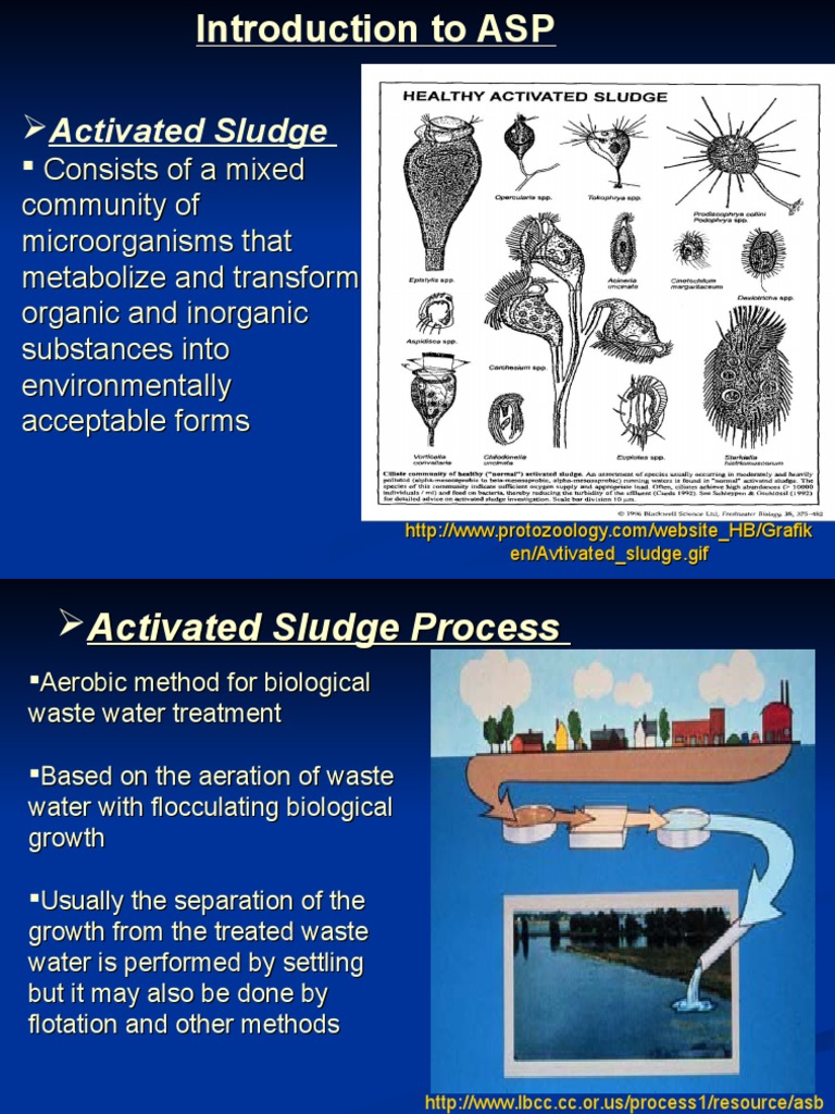 Activated Sludge Processes | Sewage Treatment | Water Purification
