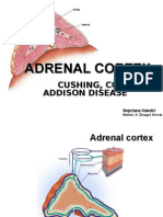 Adrenal Glands