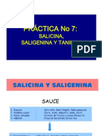 PRACTICA+Nº+7+2012