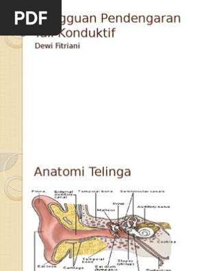 Yetuk, ajoyib oyoqlarning fotosurati