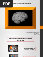 Neuropsihologie Clinica Curs 3