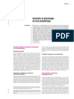 Anatomie Et Physiologie Du Nerf Périphérique