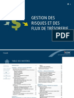 Gestion Des Risques Et Flux de Trésorerie