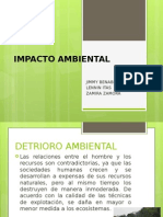 IMPACTO_AMBIENTAL