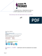 Devoir D'audit 2ip V2