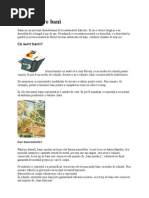 Totul despre bani.doc