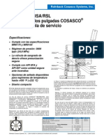 RBS Rbsa Spa PDF