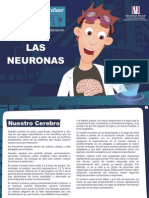 Laboratorio Neuri Las Nuronas