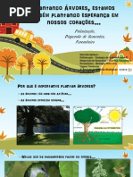 Plantando Arvores Plantando Esperança