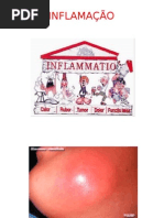 Aula 7 - Inflamação e Reparação2014