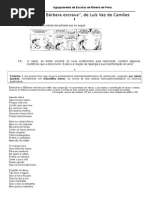 Endechasabrbara Cames Anlise Correção