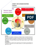 Los Órganos y Sus Emociones Relacionadas