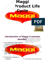 Maggi The Product Life Cycle