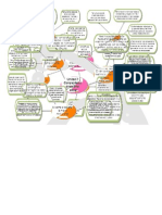 Mapas Mentales Unidad 1 y 2