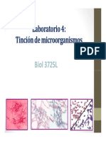 Tinciones Fundamentos PDF