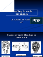 Early Pregnancy Bleeding Causes and Types