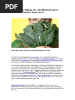 Herniated or Bulging Discs Get Healing Support With Nutritional Supplements