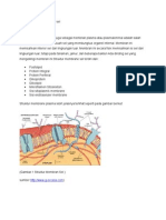 Makalah Struktur Membran Sel Danti