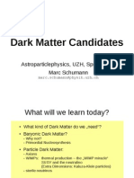 Dark Matter Candidate PDF