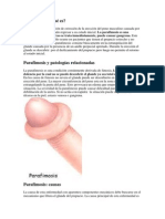 Parafimosis PDF