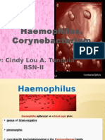 Haemophilus, Corynebacterium: By: Cindy Lou A. Tunguia Bsn-Ii