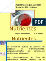 3.7   Nutrientes