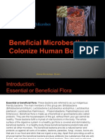 Unit 4 - Beneficial Microbes Colonizing Human Body