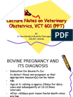 Veterinary Obsterics