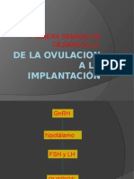(Clase02) de La Ovulación A La Implantación (DR Pérez)