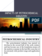 Impacts of Petrochemical Industry