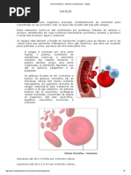 Aula de Anatomia - Sistema Cardiovascular - Sangue
