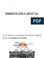 Embriologia Genital