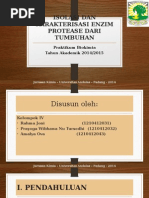 Download Isolasi Dan Karakterisasi Enzim Protease Dari Tumbuhan by Mine Rusty Racees SN258675849 doc pdf