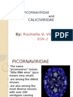 Picornavirus