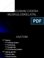 cidera muskuloskeletalt