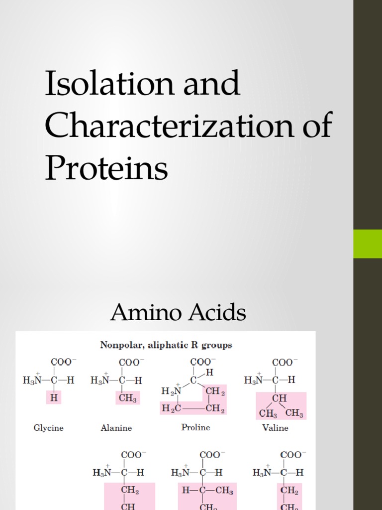 Isolation and Characterization of Proteins | PDF | Proteins ...