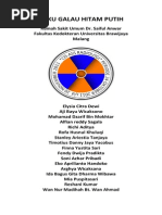 Download Radiologi Unibraw Catetan Koas by Andri SN258694802 doc pdf