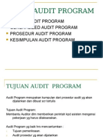 BAB-11-AUDIT-PROGRAM.ppt