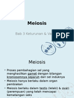 Meiosis SN