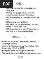 XML 