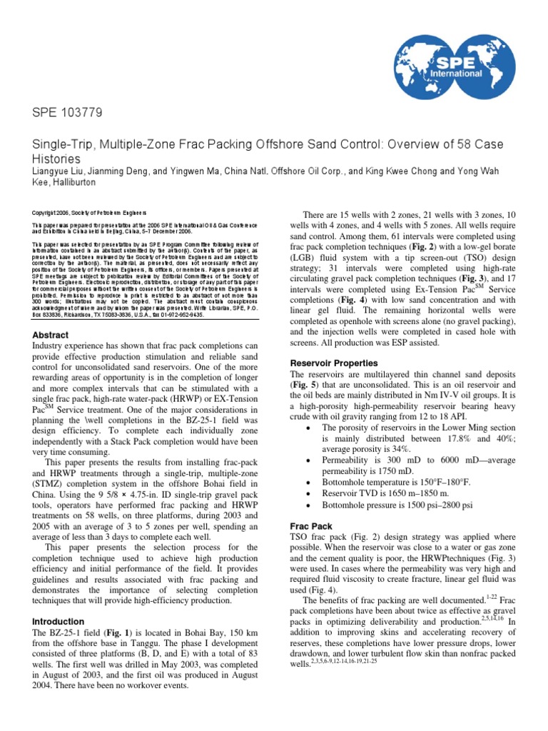 Frac Pack Offshore Sand Control | Hydraulic Fracturing | Petroleum ...