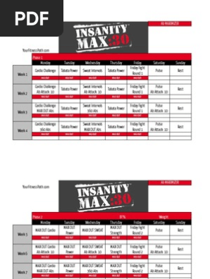 Insanity Max 30 Ab Maximizer | PDF