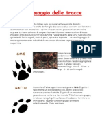 PDF-05 M-Il linguaggio delle tracce.pdf