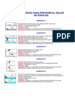 Ejercicios para Prevenir El Dolor de Espalda PDF